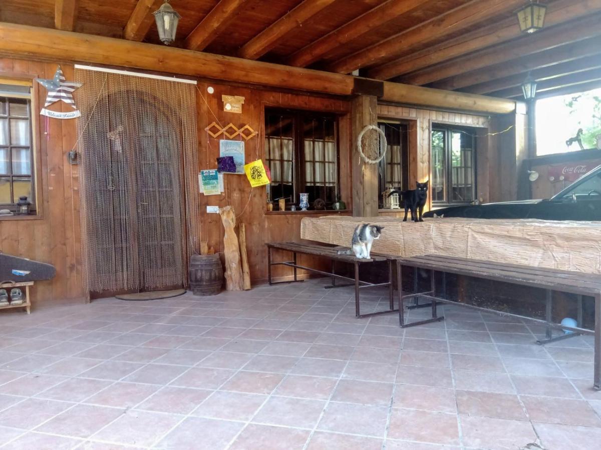 Pirola Music Ranch Guest House B&B Романо-ді-Ломбардія Екстер'єр фото